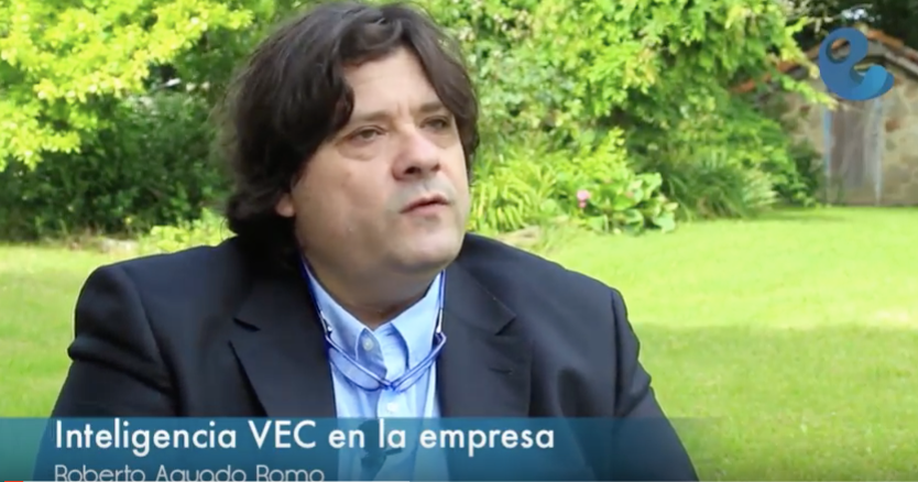 Empresa VEC