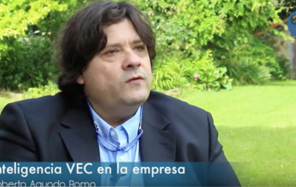 Empresa VEC